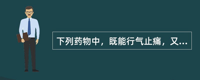 下列药物中，既能行气止痛，又能健脾消食的是（　　）。