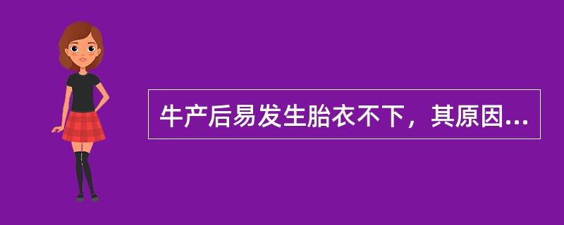 牛产后易发生胎衣不下，其原因之一是牛胎盘形态结构属于（　　）。