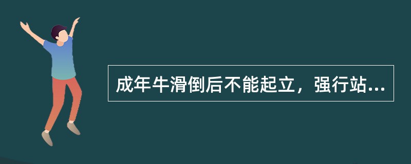 成年牛滑倒后不能起立，强行站立后患后肢不能负重，比健肢缩短，抬举困难，以蹄尖拖地行过。髋关节他动运动，有时可听到捻发音。若直肠检查在闭孔内摸到股骨头，该病牛可诊断为（　　）。 