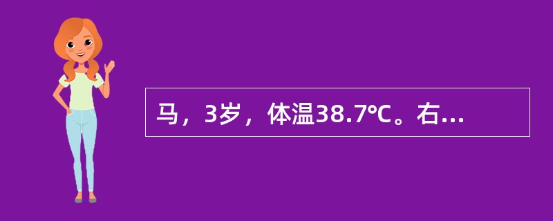 马，3岁，体温38.7℃。右前肢支跛，蹄尖负重，系部直立，指动脉搏动明显，检蹄器压迫蹄叉有痛感，但蹄底和蹄叉处无明显眼观病变，楔木试验阳性，该病适宜的治疗方法是（　　）。