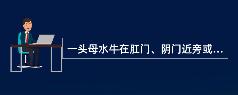 一头母水牛在肛门、阴门近旁或其下方出现无热、无痛、柔软的肿胀，为一侧性的，肿胀对侧的肌肉松弛。柔软或有波动感，阴道脱垂，尿道口向外突出。挤压肿胀有时可见到喷尿，病畜频频排尿，但量不多或无尿，检查者用手