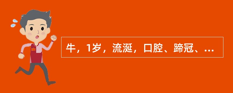 牛，1岁，流涎，口腔、蹄冠、趾间皮肤出现水疱，跛行。水疱液电镜观察见无囊膜的球形病毒粒子。该病最可能的病原是（　　）。