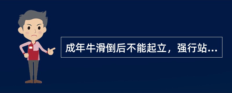 成年牛滑倒后不能起立，强行站立后患后肢不能负重，比健肢缩短，抬举困难，以蹄尖拖地行过。髋关节他动运动，有时可听到捻发音。进一步确诊的最佳方法是（　　）。 