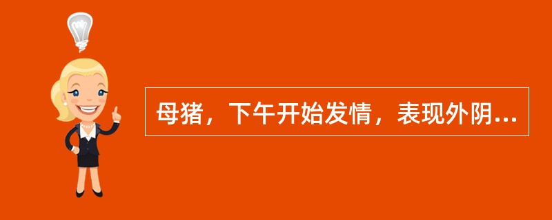 母猪，下午开始发情，表现外阴红肿，阴道粘膜充血，黏液透明清晰，发情过程正常，第1次配种的最适宜时间是（　　）。 