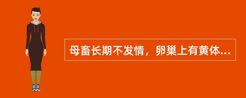 母畜长期不发情，卵巢上有黄体的处理（　　）。 