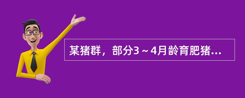 某猪群，部分3～4月龄育肥猪出现消瘦，顽固性腹泻，用抗生素治疗效果不佳，剖检死亡猪在结肠壁上见到大量结节，肠腔内检获长为8～11mm的线状虫体。可能发生的寄生虫病是（　　）。 