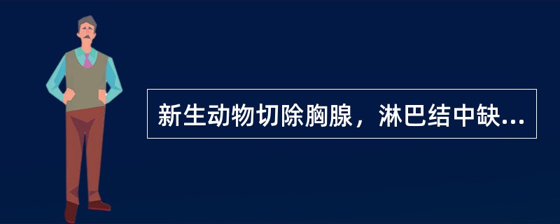 新生动物切除胸腺，淋巴结中缺乏的细胞是（　　）。