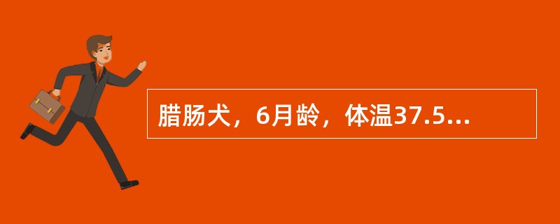 腊肠犬，6月龄，体温37.5℃，排少量黏液样柏油状粪便，呕吐，腹部触诊有“香肠”状物体。若为回肠套叠且施行肠切除术，正确的操作方法是（　　）。 