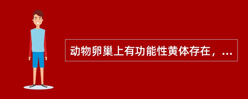 动物卵巢上有功能性黄体存在，致使长期无卵泡生长，也无发情表现，最有效的处理方法是（　　）。