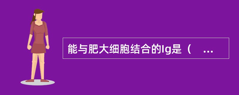 能与肥大细胞结合的Ig是（　　）。