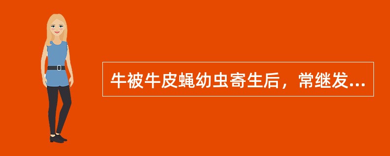 牛被牛皮蝇幼虫寄生后，常继发皮肤化脓感染的病原是（　　）。