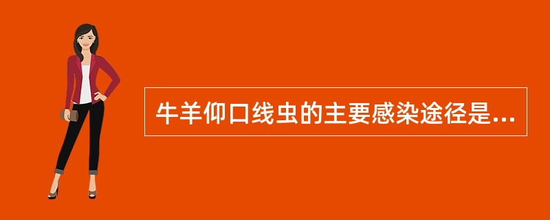 牛羊仰口线虫的主要感染途径是（　　）。