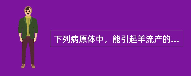 下列病原体中，能引起羊流产的是（　　）。