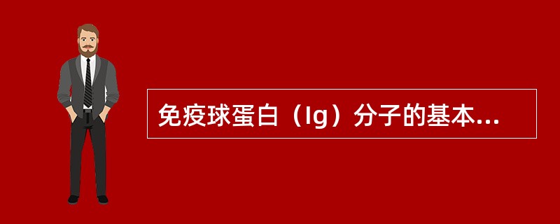 免疫球蛋白（Ig）分子的基本结构是由（　　）。