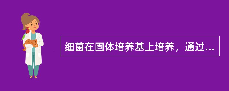 细菌在固体培养基上培养，通过肉眼可观察到的是（　　）。