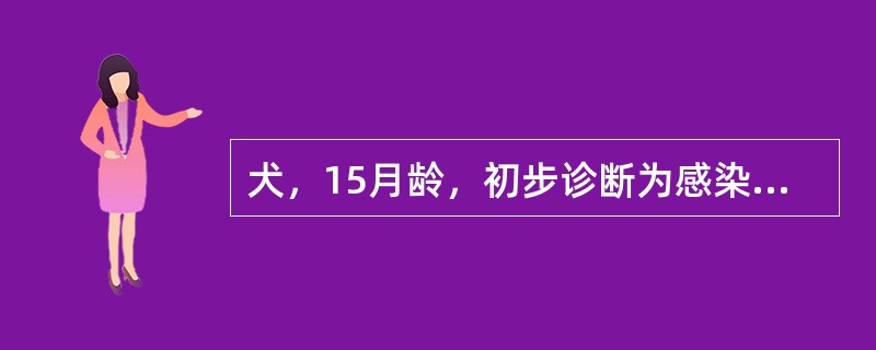 犬，15月龄，初步诊断为感染性皮炎，用恩诺沙星肌注治疗3天，疗效差，经实验室确诊为表皮癣菌感染，应改用的治疗药物是（　　）。