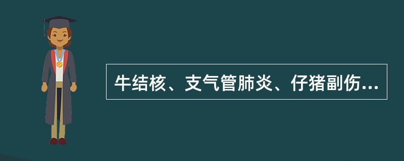 牛结核、支气管肺炎、仔猪副伤寒、渗出性胸膜炎等临床上表现的热型为（　　）。