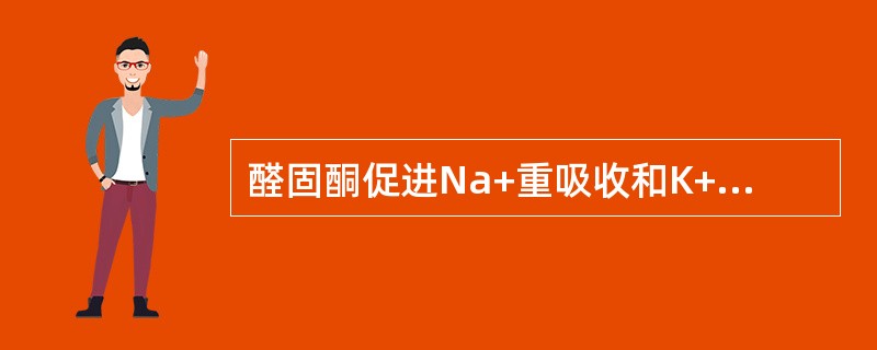 醛固酮促进Na+重吸收和K+分泌的部位是（　　）。