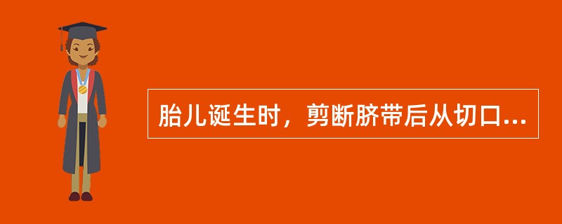 胎儿诞生时，剪断脐带后从切口流出的血液是（　　）。