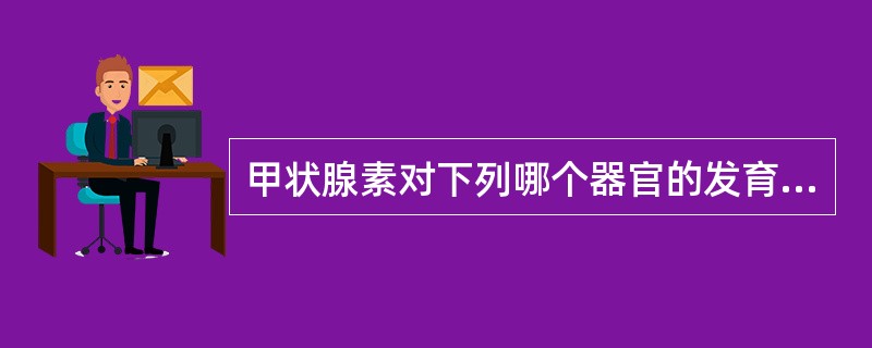 甲状腺素对下列哪个器官的发育最为重要（　　）。