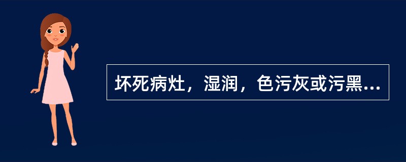 坏死病灶，湿润，色污灰或污黑，腐败菌感染，严重有恶臭，与健康组织无明显界限的是（　　）。