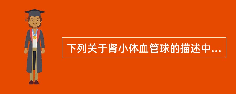 下列关于肾小体血管球的描述中，错误的是（　　）。