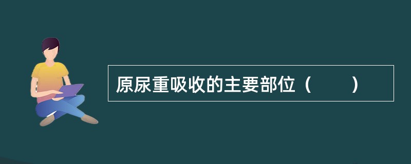 原尿重吸收的主要部位（　　）