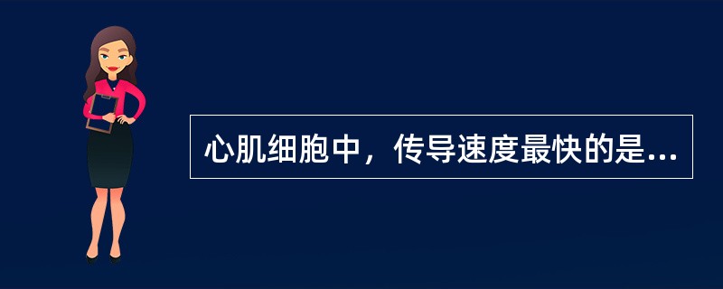 心肌细胞中，传导速度最快的是（　　）。