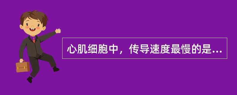 心肌细胞中，传导速度最慢的是（　　）。