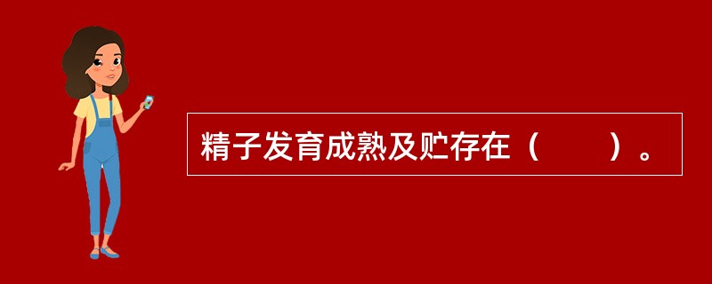 精子发育成熟及贮存在（　　）。