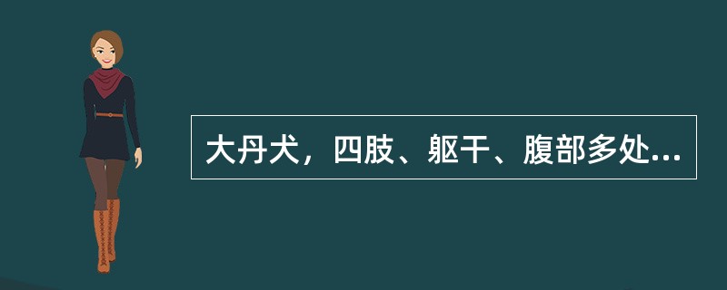 大丹犬，四肢、躯干、腹部多处有铜钱大脱毛区，局部皮屑较多，并有向外扩散趋势。如用伍氏灯检查荧光阳性，最适合的治疗药物是（　　）。 