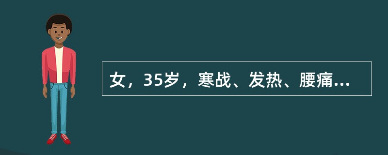 女，35岁，寒战、发热、腰痛伴尿频、尿急3天，体温39℃，心肺无异常，肝脾肋下未触及，两侧肋脊角有叩击痛，尿液检查：蛋白（-），镜检红细胞2-5个/HP,白细胞10-15个/HP，诊断应首先考虑