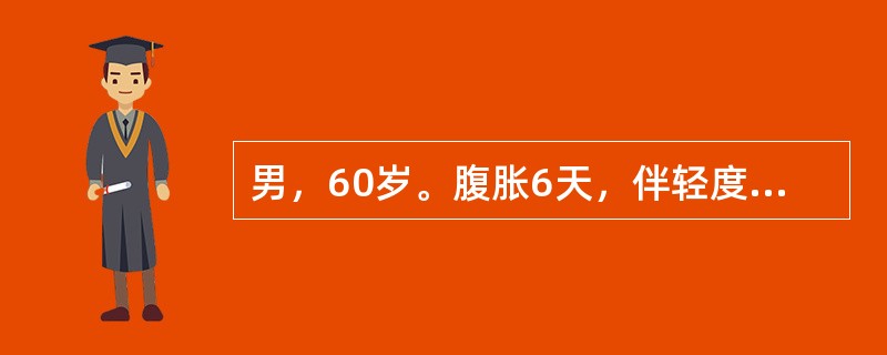 男，60岁。腹胀6天，伴轻度腹痛，偶有呕吐。近4天肛门停止排气排便，半个月前曾患腹膜炎。查体：全腹胀，肠鸣音消失。血钾3.1mmol/L。最可能的诊断是（　　）。