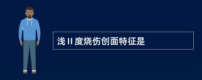 浅Ⅱ度烧伤创面特征是