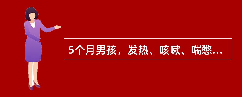 5个月男孩，发热、咳嗽、喘憋3天。查体：体温37.5℃，呼吸68次/分，呈呼气性呼吸困难，呼气时有呻吟，伴明显鼻扇及三凹征，满肺喘鸣音，底部有细湿啰音，白细胞7.0×109/L，淋巴占78％。本病例诊