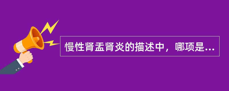 慢性肾盂肾炎的描述中，哪项是正确的