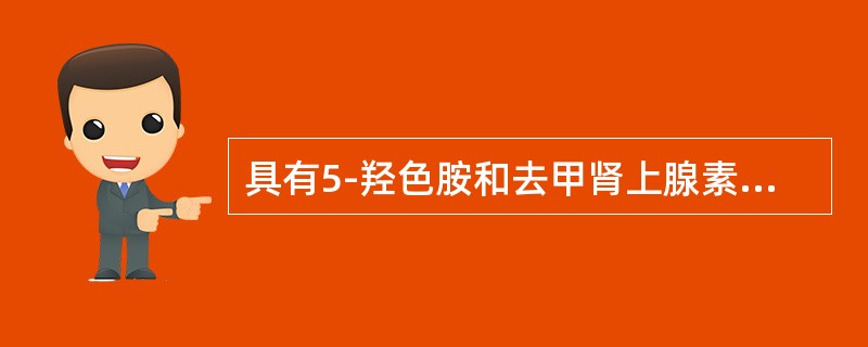 具有5-羟色胺和去甲肾上腺素再摄取双重抑制作用的抗抑郁药是