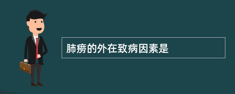 肺痨的外在致病因素是