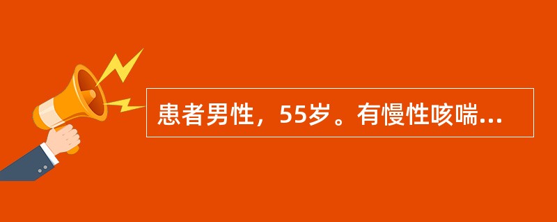 患者男性，55岁。有慢性咳喘病史十余年，平素易汗出，劳动后尤甚，易外感，体倦乏力，恶风，舌苔薄白，脉细弱。该患者治疗首选