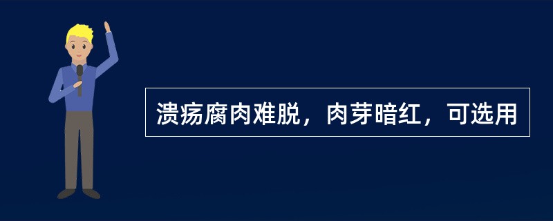 溃疡腐肉难脱，肉芽暗红，可选用