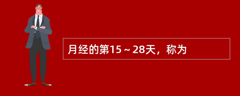 月经的第15～28天，称为