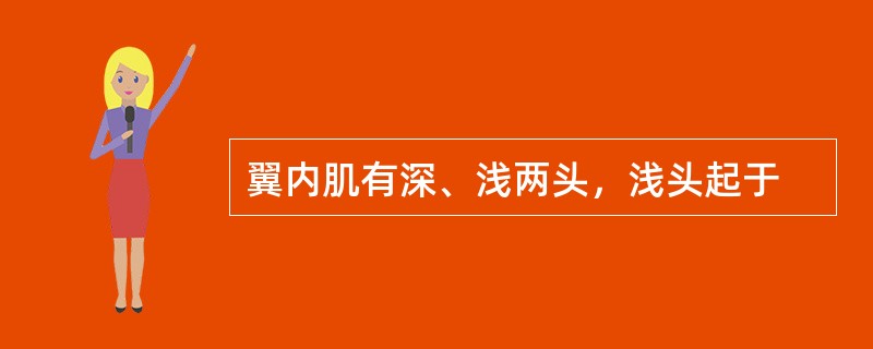 翼内肌有深、浅两头，浅头起于