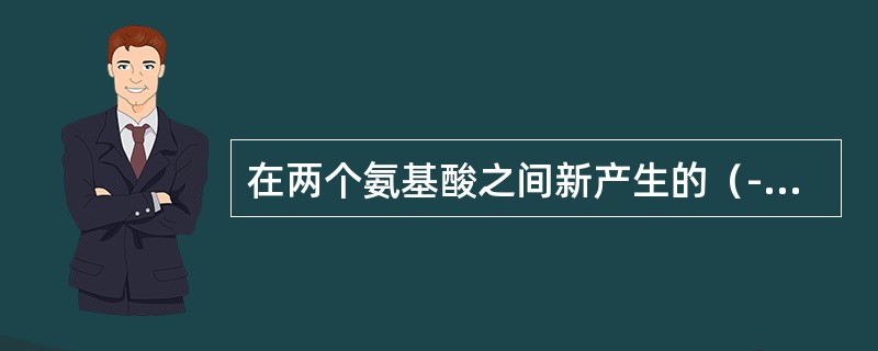 在两个氨基酸之间新产生的（-CO-NH-）被称为