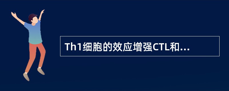 Th1细胞的效应增强CTL和NK细胞的活性是Th1细胞通过产生