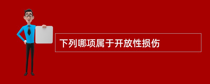 下列哪项属于开放性损伤