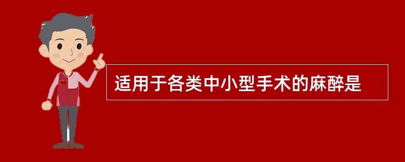 适用于各类中小型手术的麻醉是