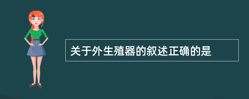 关于外生殖器的叙述正确的是