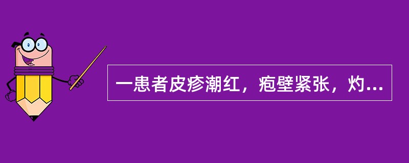 一患者皮疹潮红，疱壁紧张，灼热刺痛；伴口苦咽干，心烦易怒，大便干，小便黄；舌质红，苔黄腻，脉滑数，选用的方药是