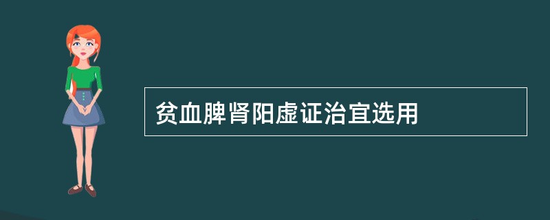 贫血脾肾阳虚证治宜选用