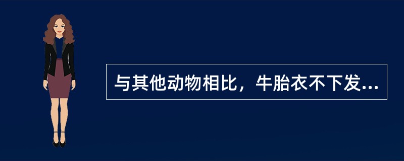 与其他动物相比，牛胎衣不下发生率较高的主要原因是（　　）。